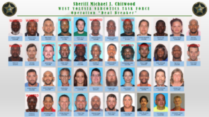 collier county arrests